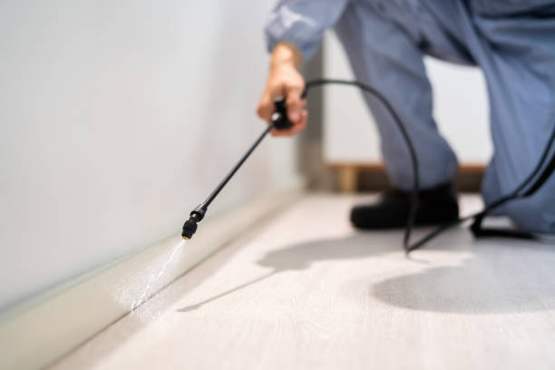 Licensed Mosquito Control service in Breckenridge, CO - Show Me Pest Control