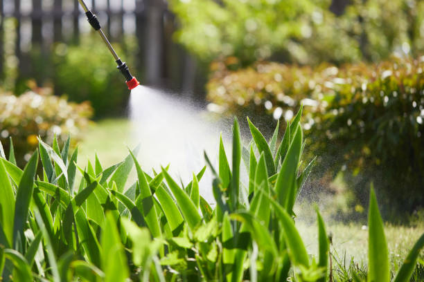 24/7 Emergency Mosquito Control experts in Breckenridge, CO
