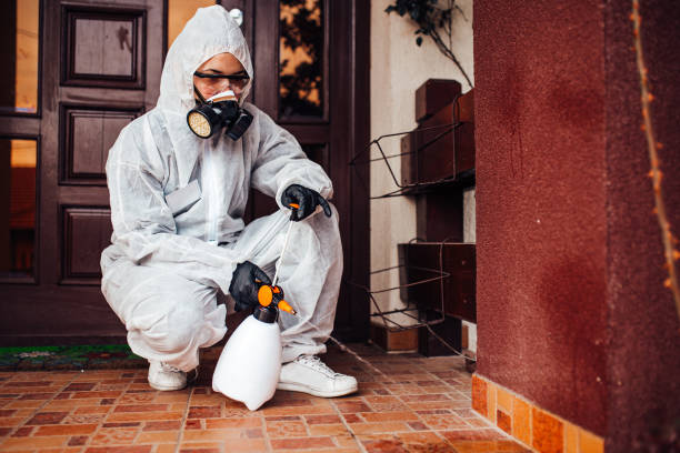 Reliable Mosquito Control contractor in Breckenridge, CO by Show Me Pest Control